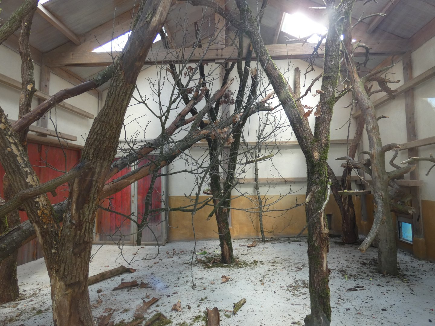 Indoors for Squirrel Monkey and Coati