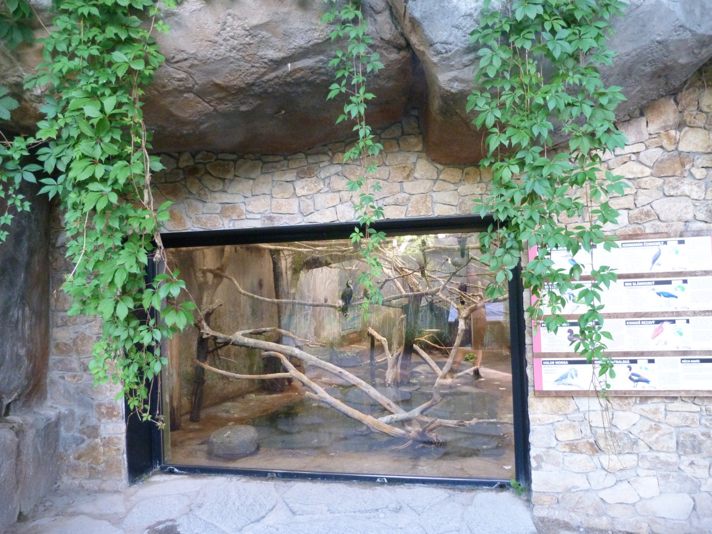 Indoors housing for the australian wetlands aviary -Zoo Praha (2025)