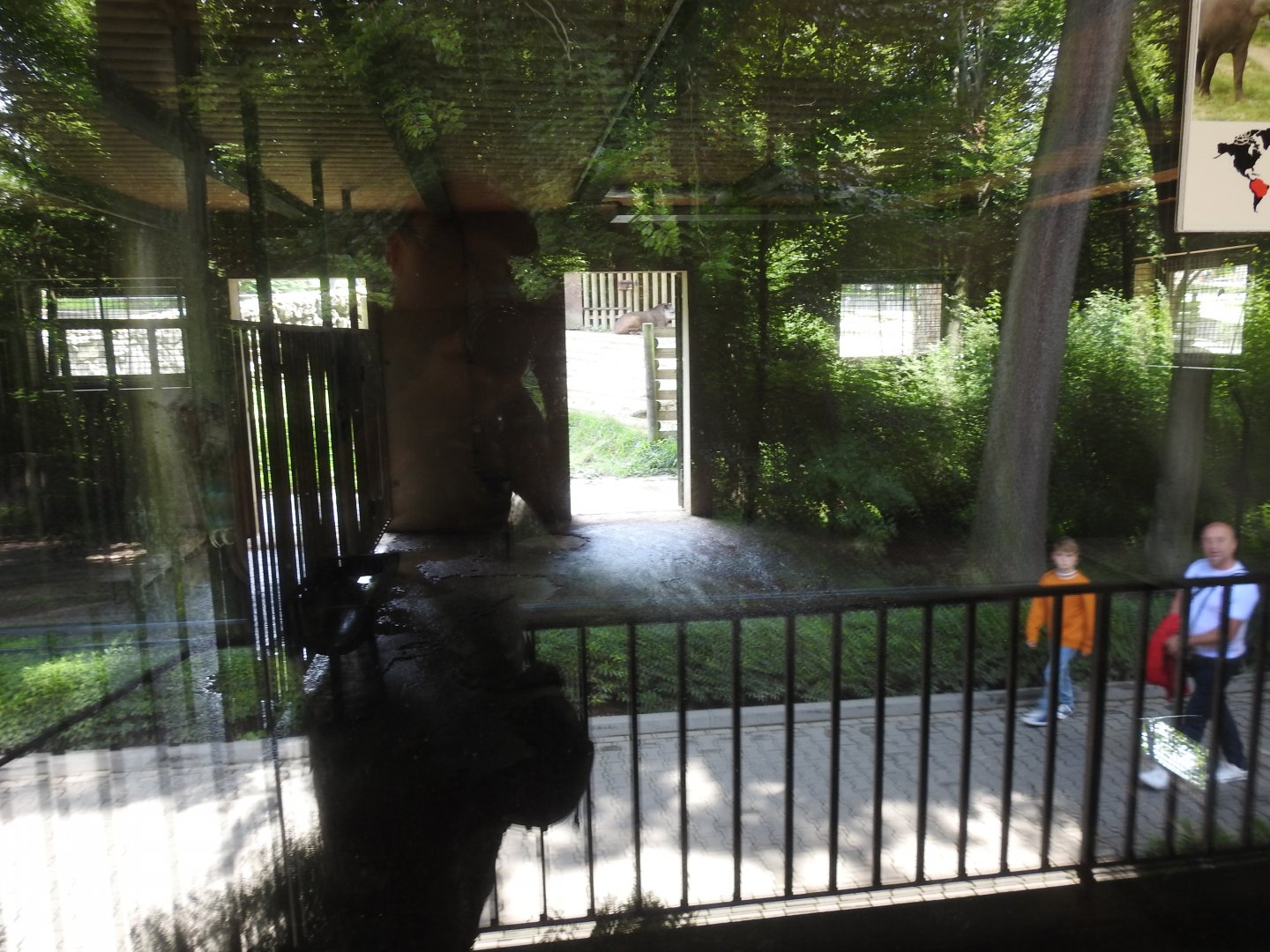 indoors of tapir house