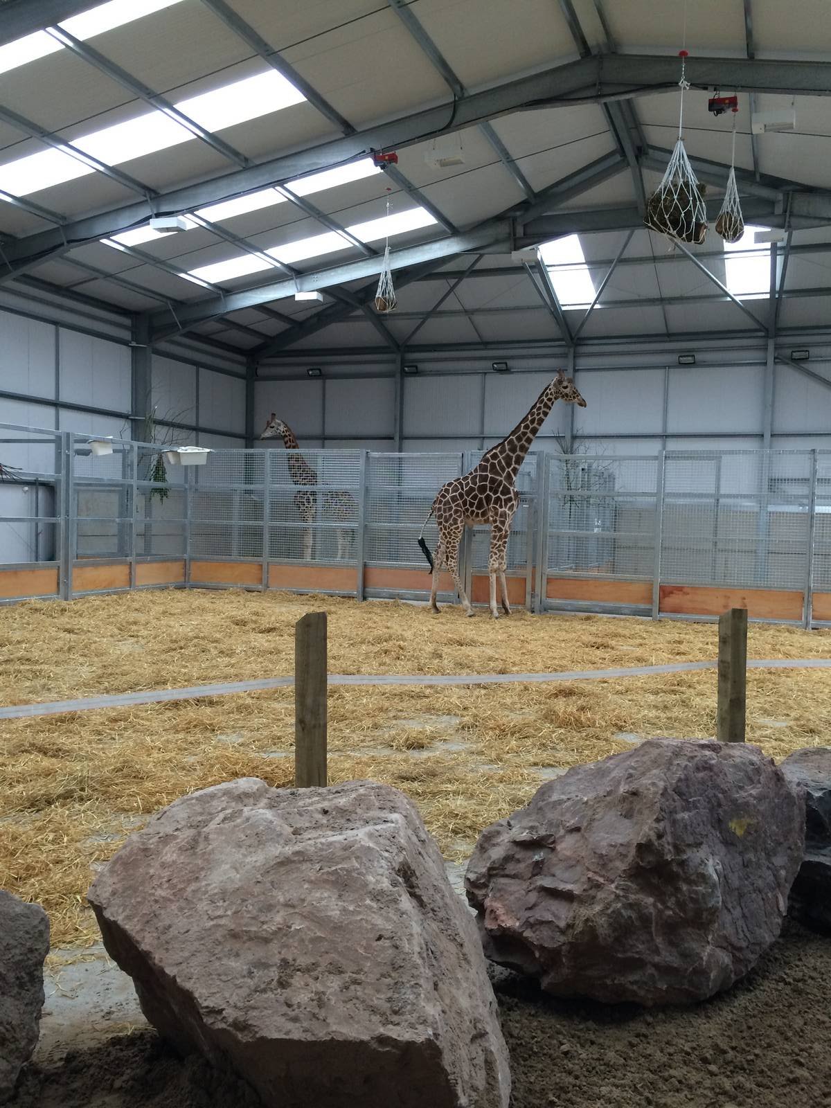 Indoors with the current 2 residents