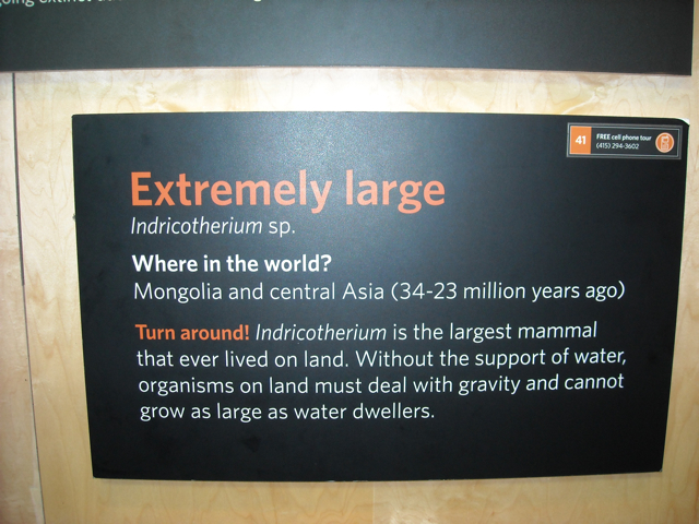 Indricotherium interpretive sign