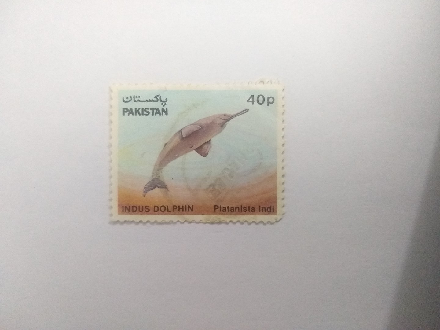 Indus dolphin - Postage stamp Pakistan