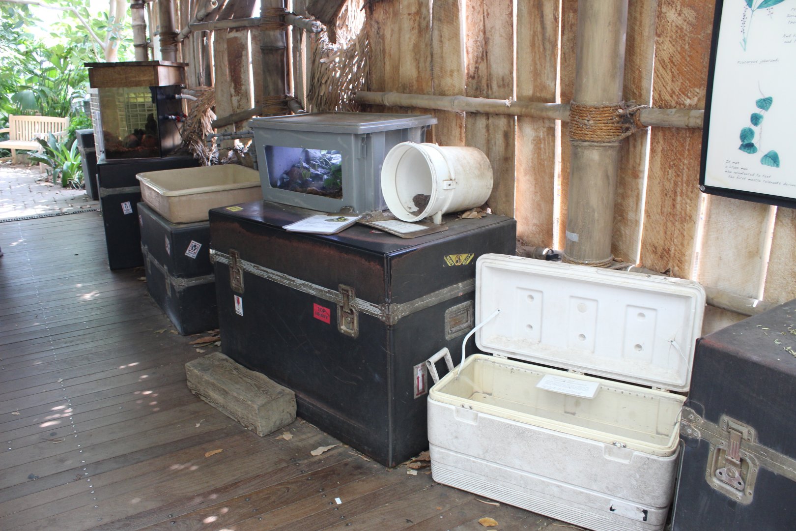 Infamous Snake Exhibits - Tropical Discovery