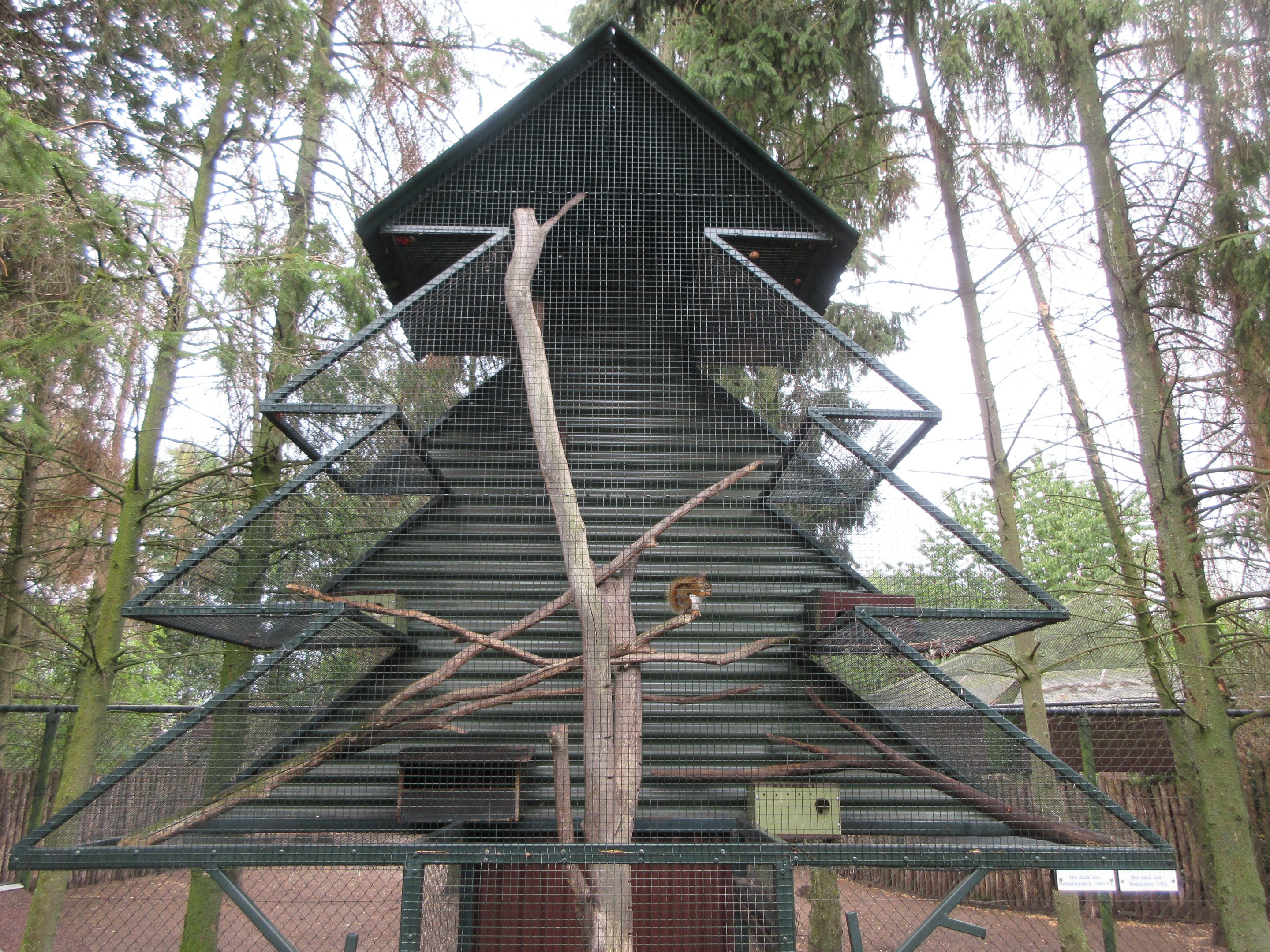 Infamous Squirrel 'Christmas Tree' Exhibit