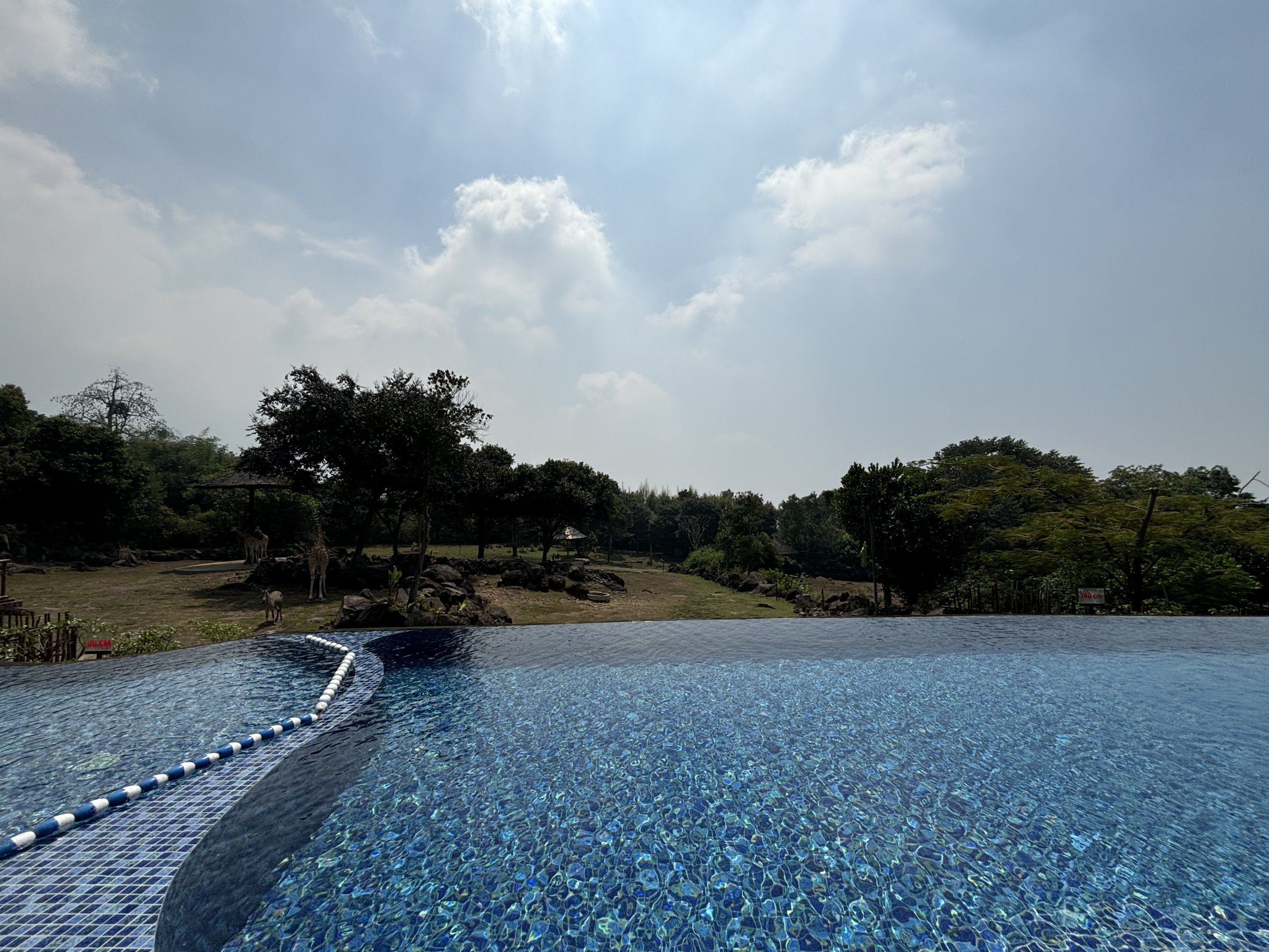 Infinity Pool - Baobab Safari Resort