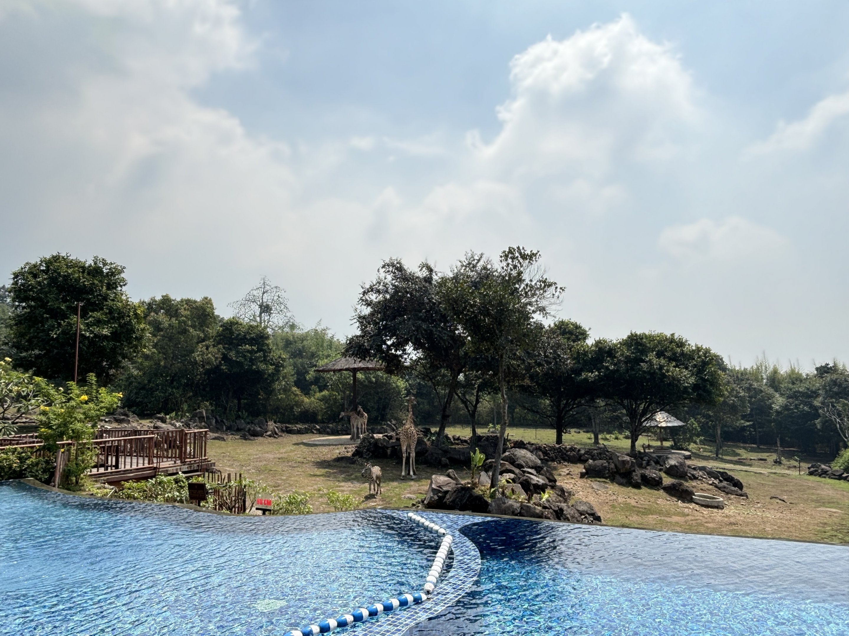 Infinity Pool - Baobab Safari Resort