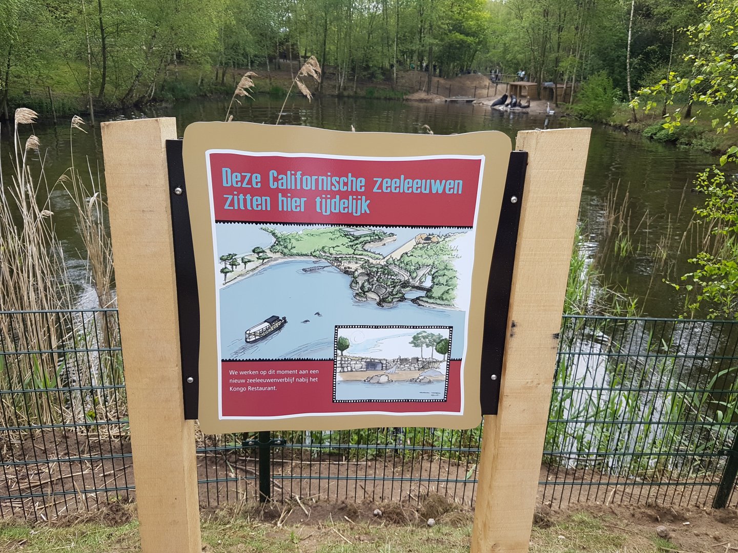 Info about the new Sea-lion-enclosure