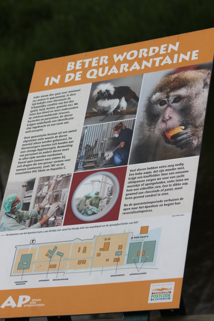 Info and Plan Quarantaine-building