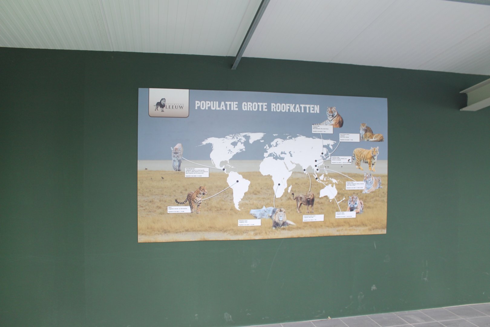 Info Big Cat Populations