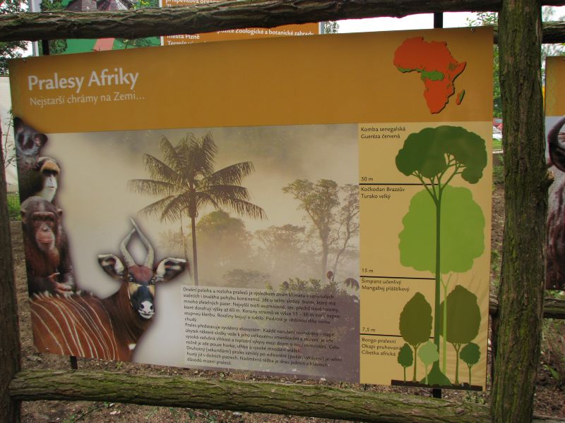Info boards about African rainforest