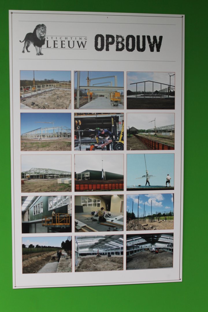 Info building Stichting Leeuw