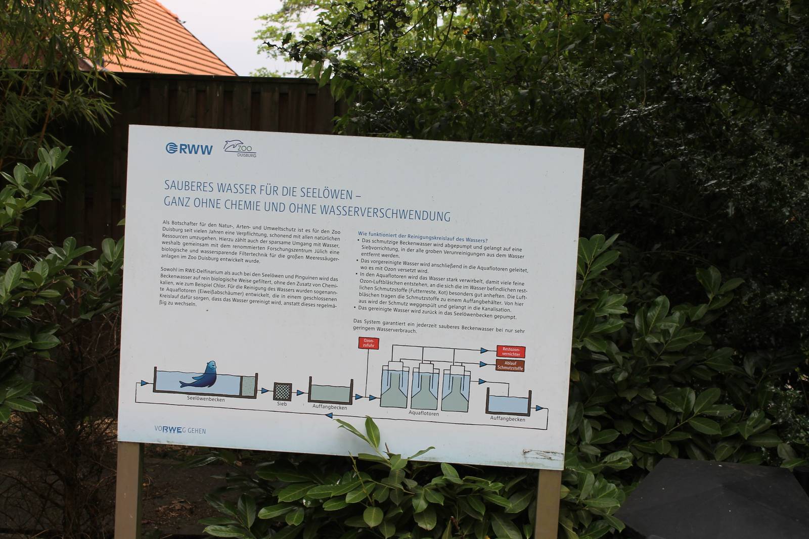 Info filtration-system sea lions