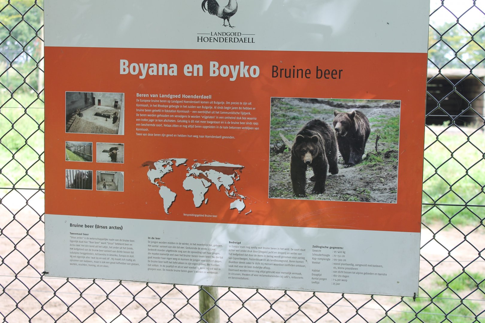 Info history 2 Brown bears