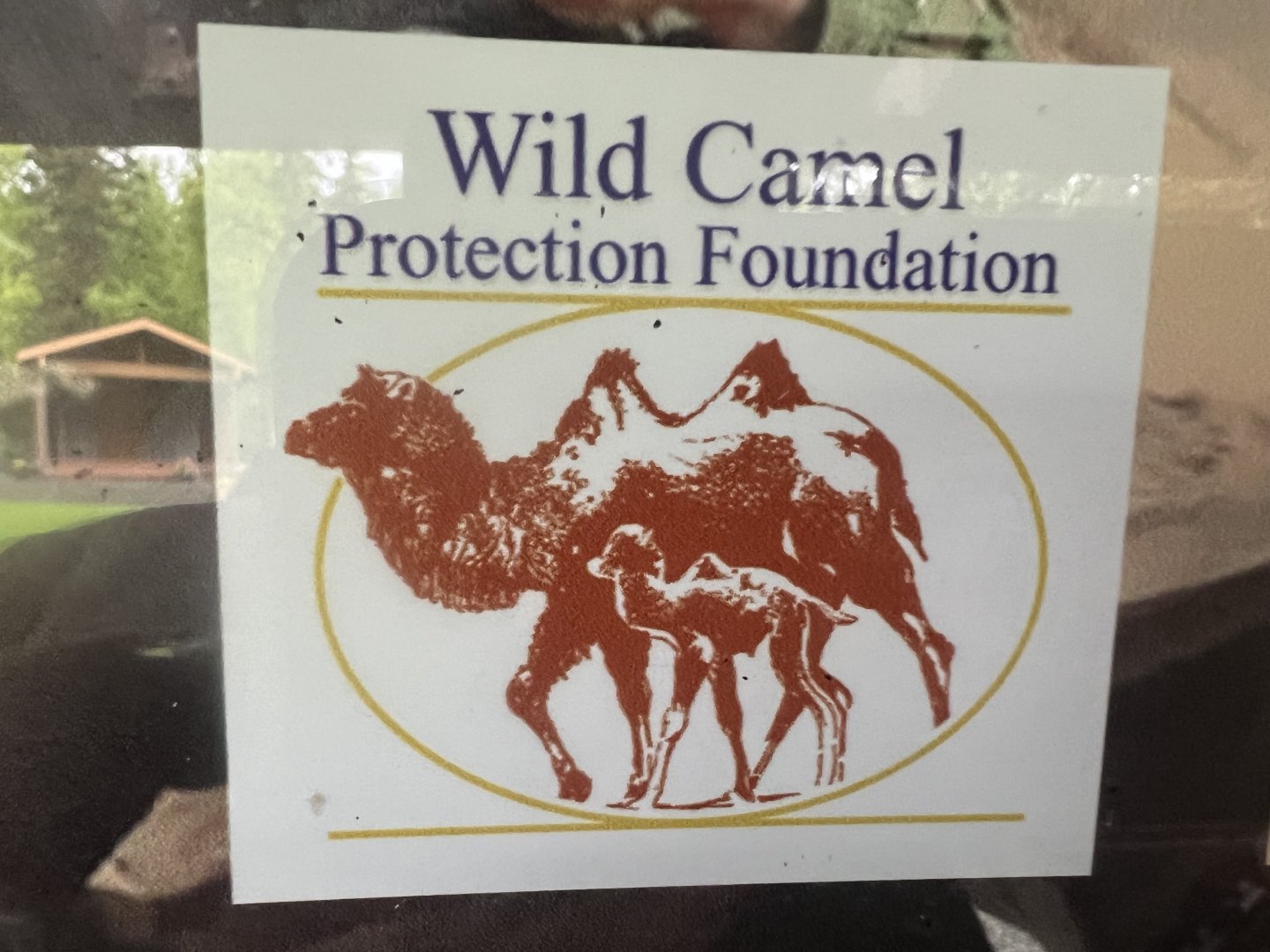 Info marker on kiosk