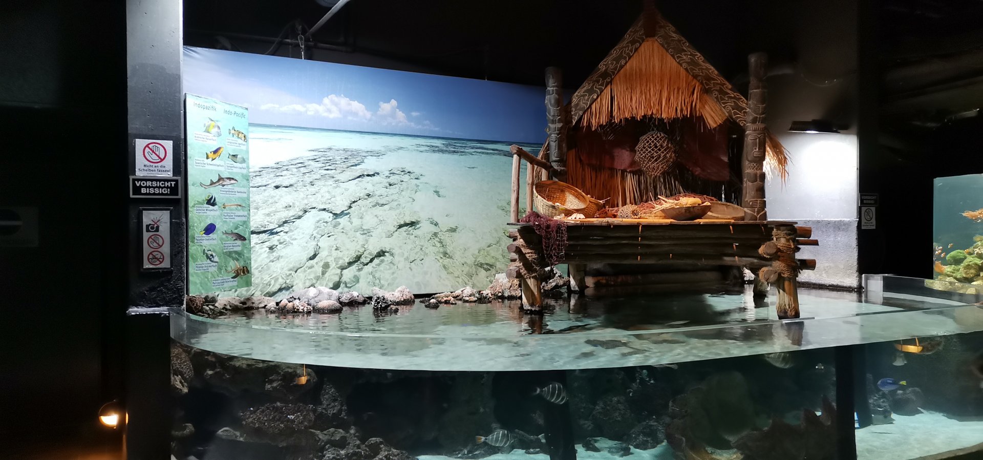 Info - Pacific exhibit, Aquarium