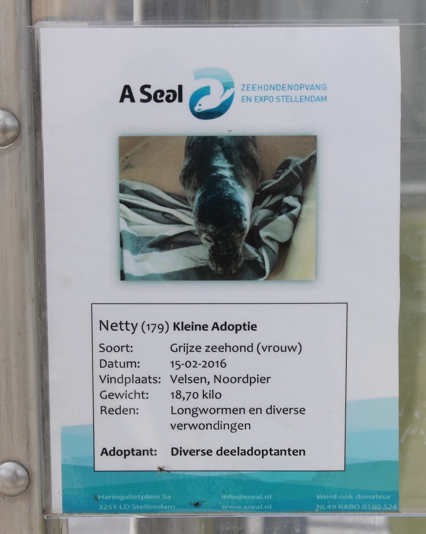 Info-sheet of one of the Seals