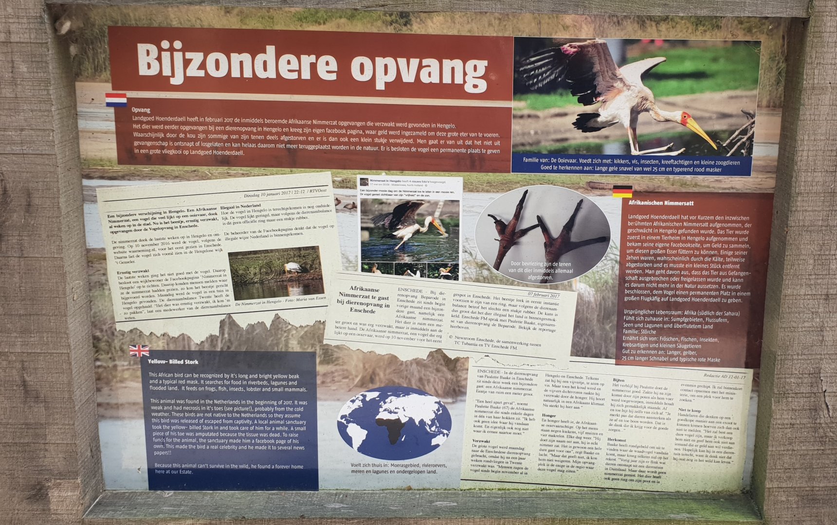 Info-sign about a very special Yellowbill