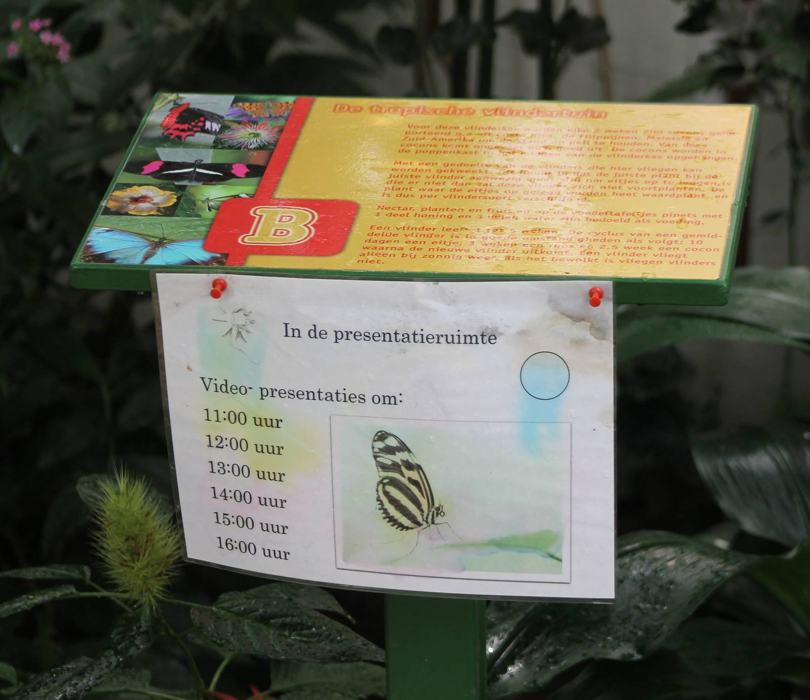 Info sign about education movie