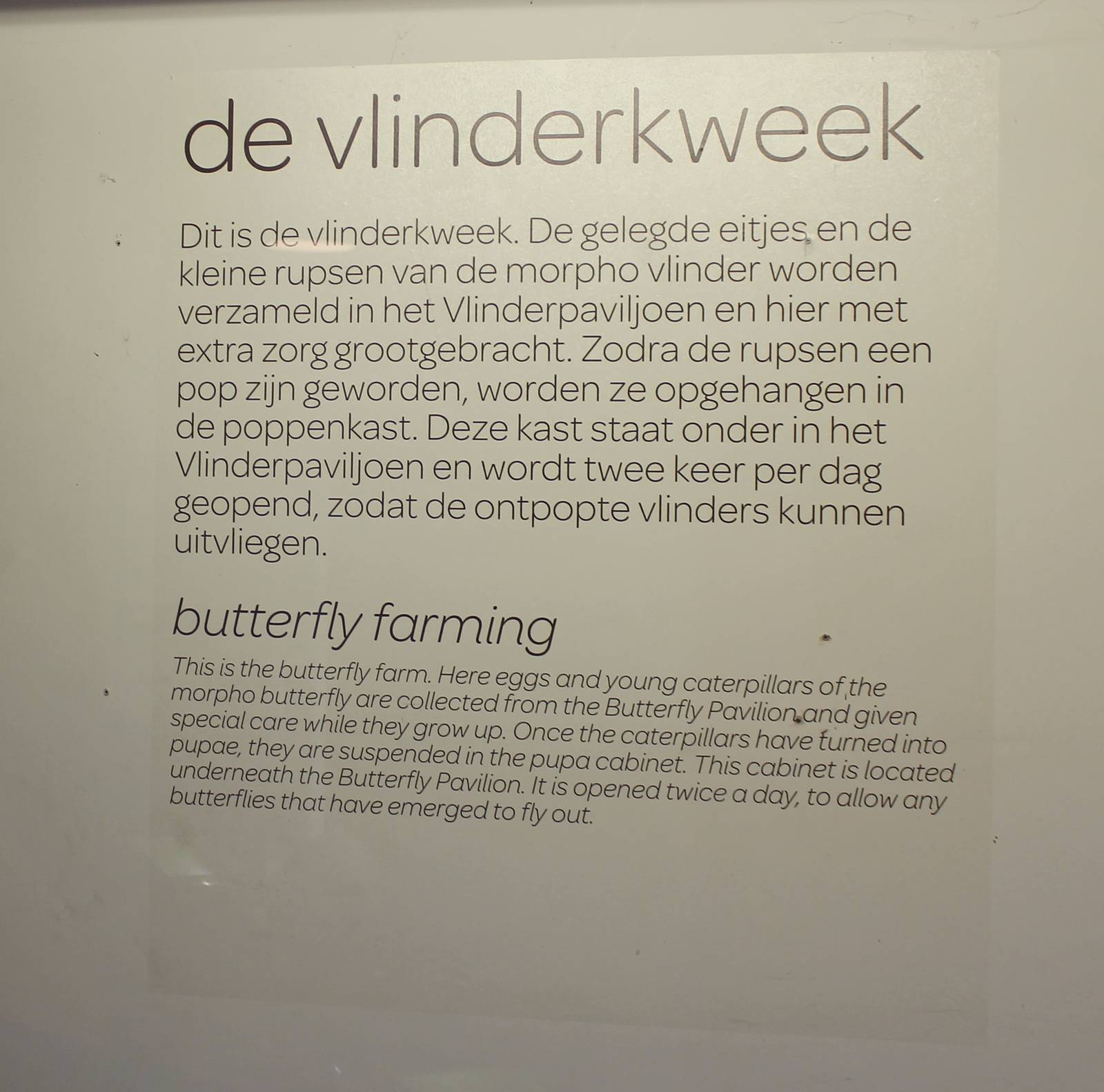 Info-sign Butterfly-breeding