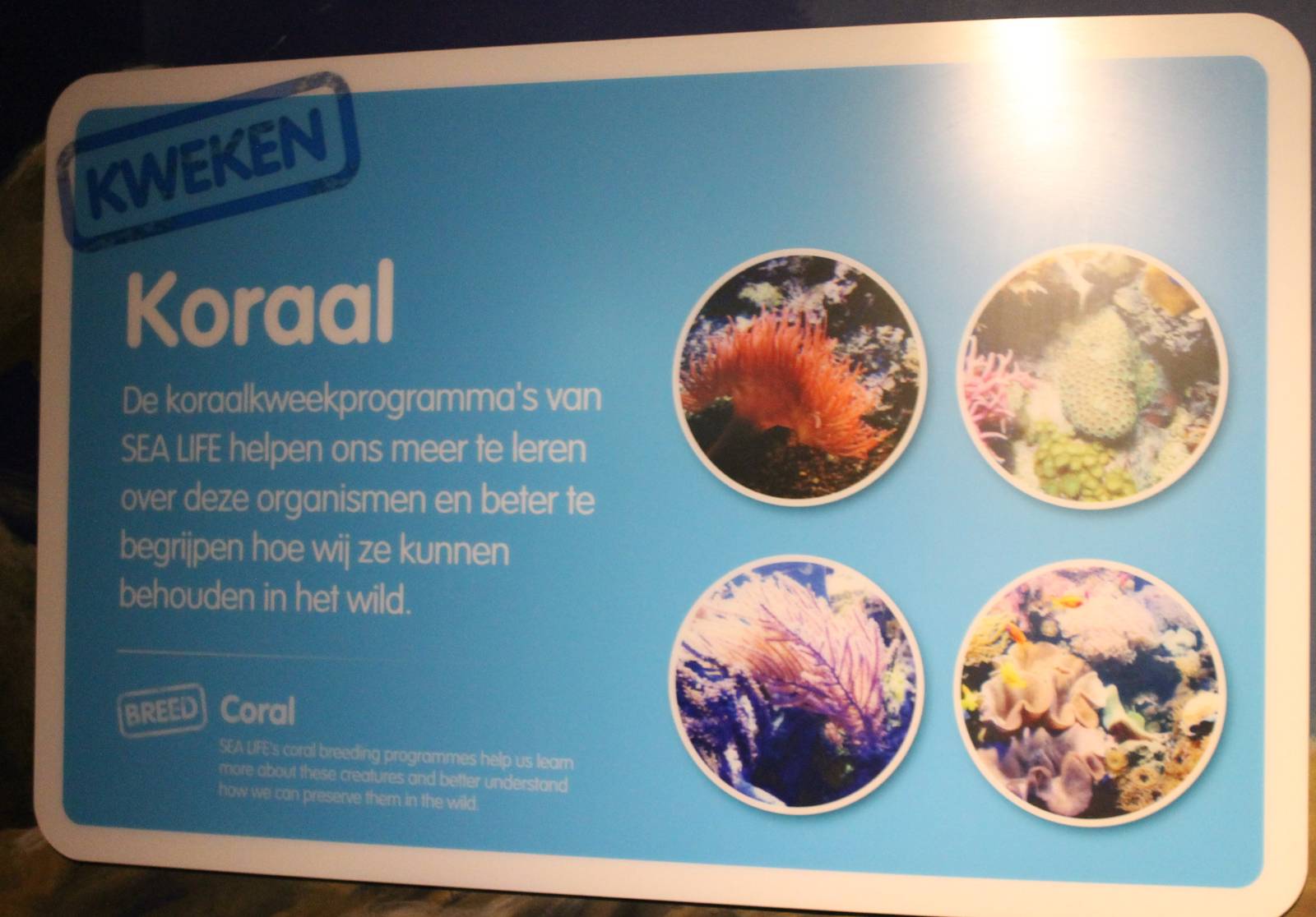 Info-sign Coral-breeding