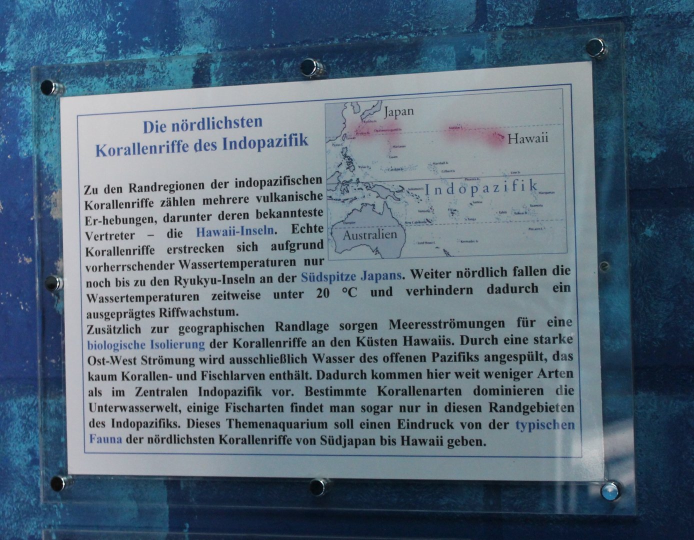 Info-sign Corals of the Indo-pacific