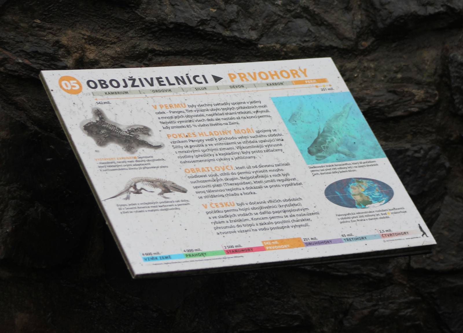 Info-sign fossils