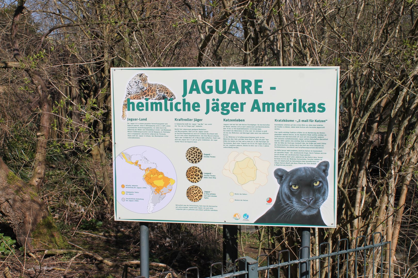 Info-sign Jaguar