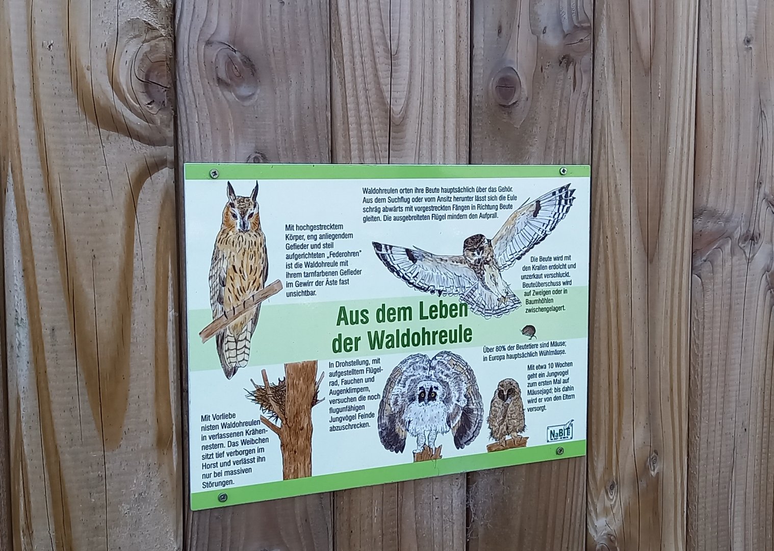 Info-sign Long-eared owl
