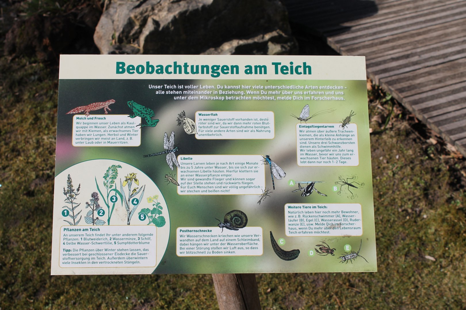 Info-sign Natur-pool