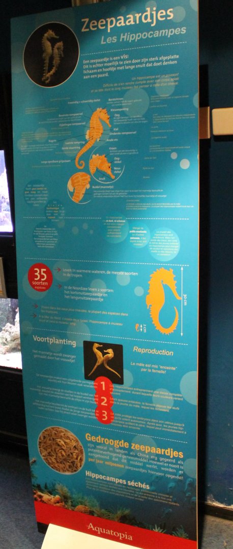 Info-sign Sea-horses