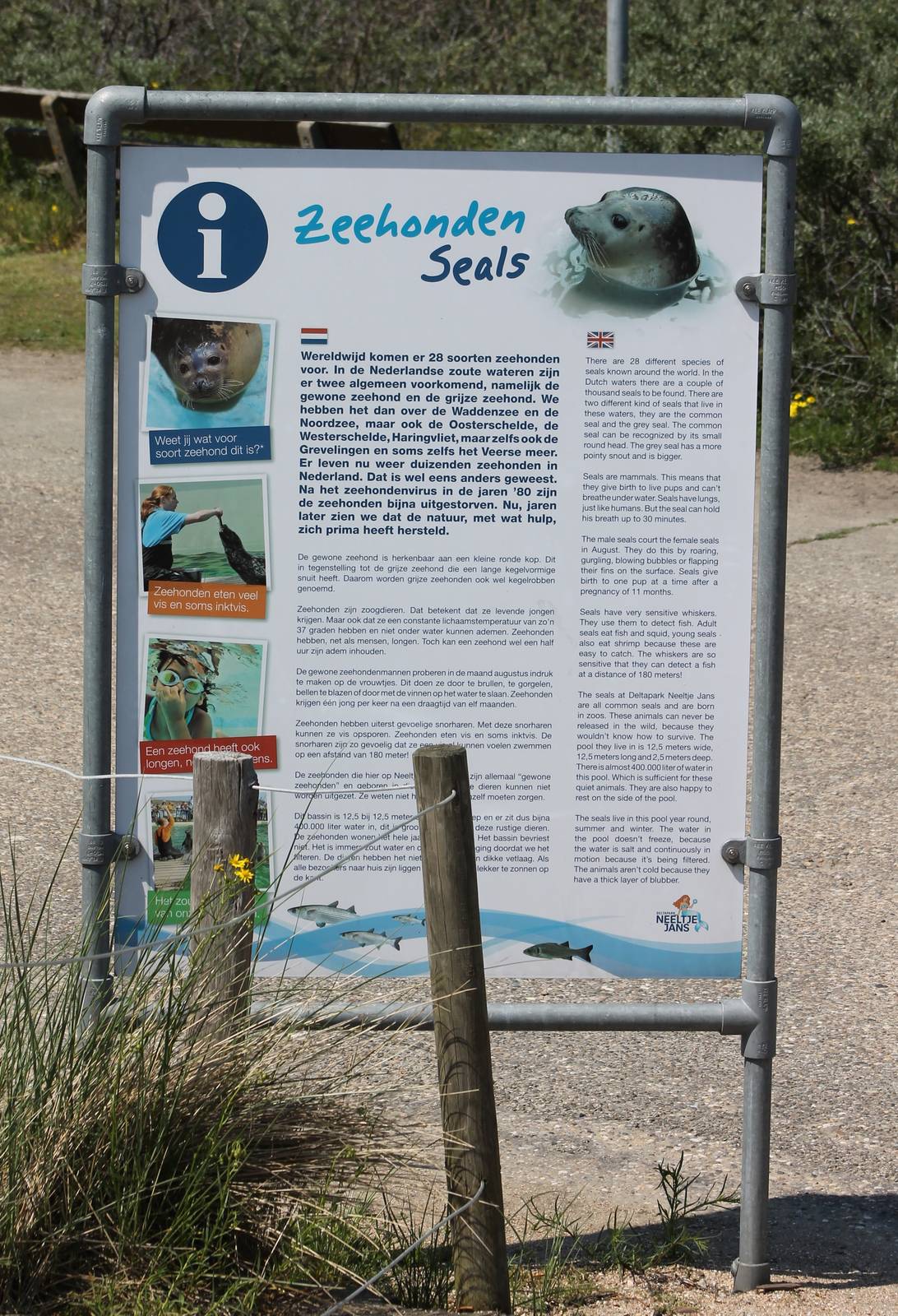 Info sign seals