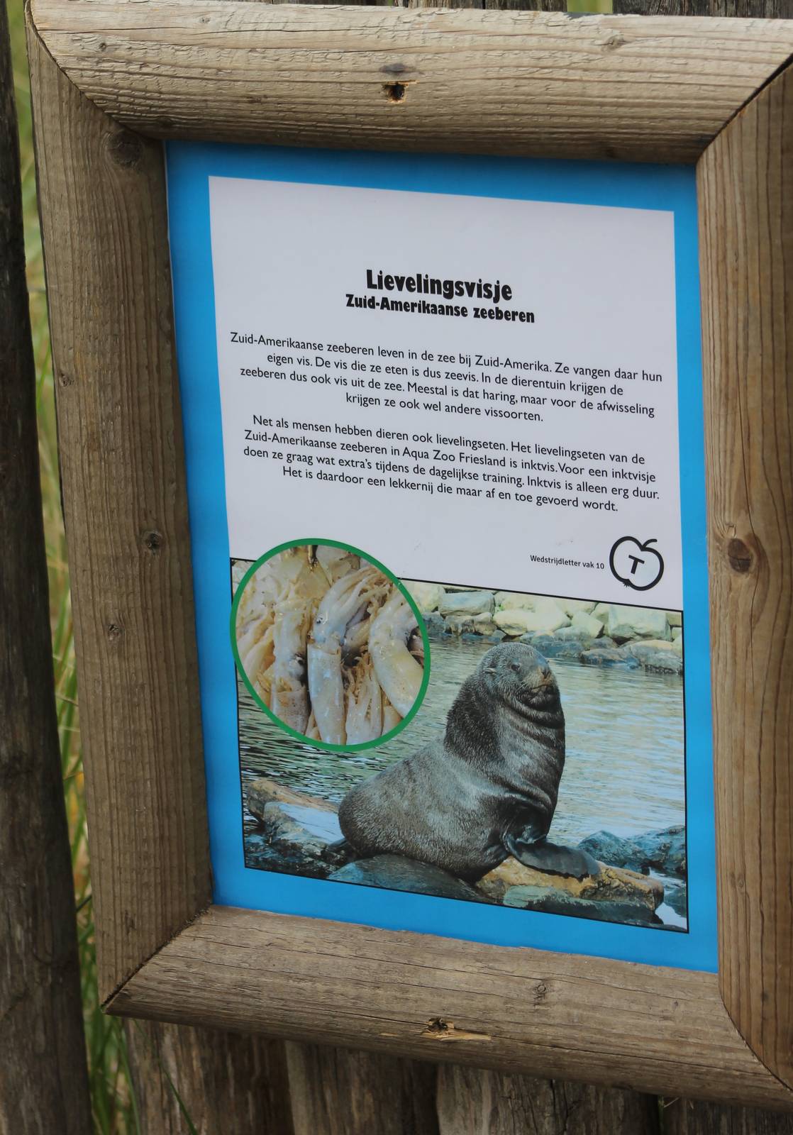 Info-sign South American fur seal
