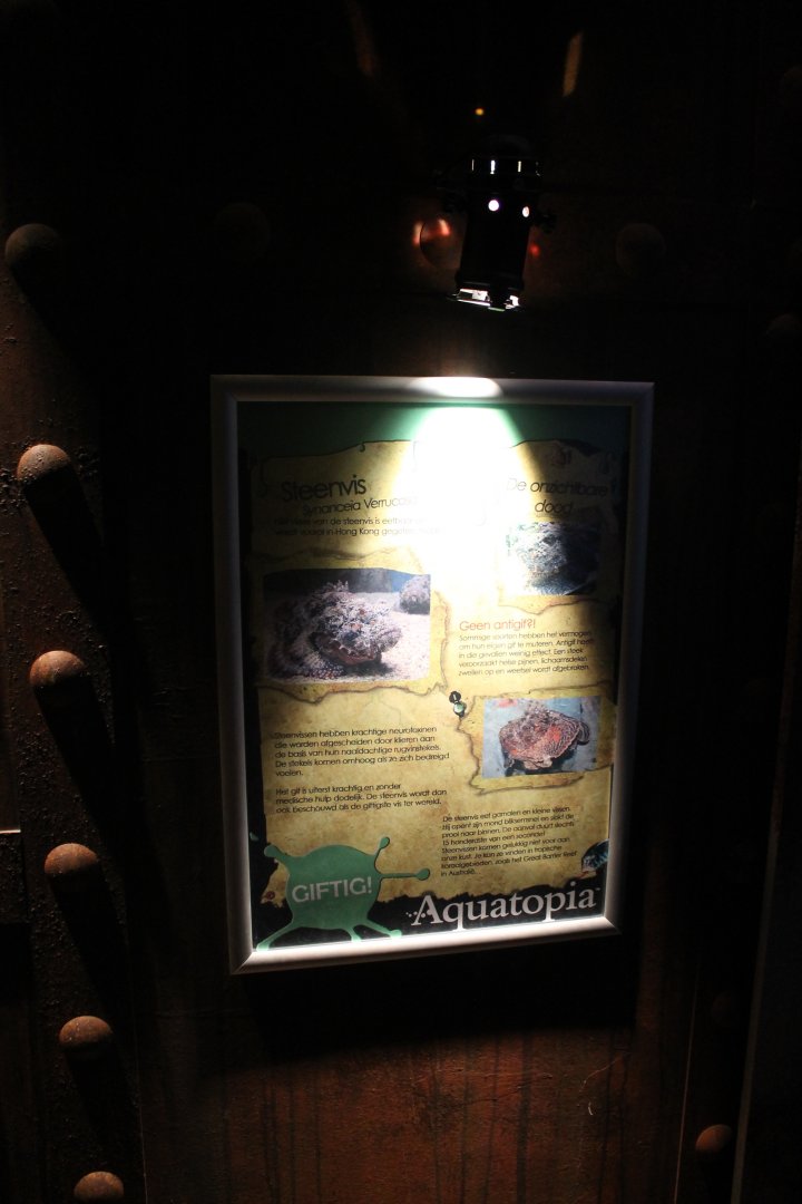 Info-sign Stone-fish