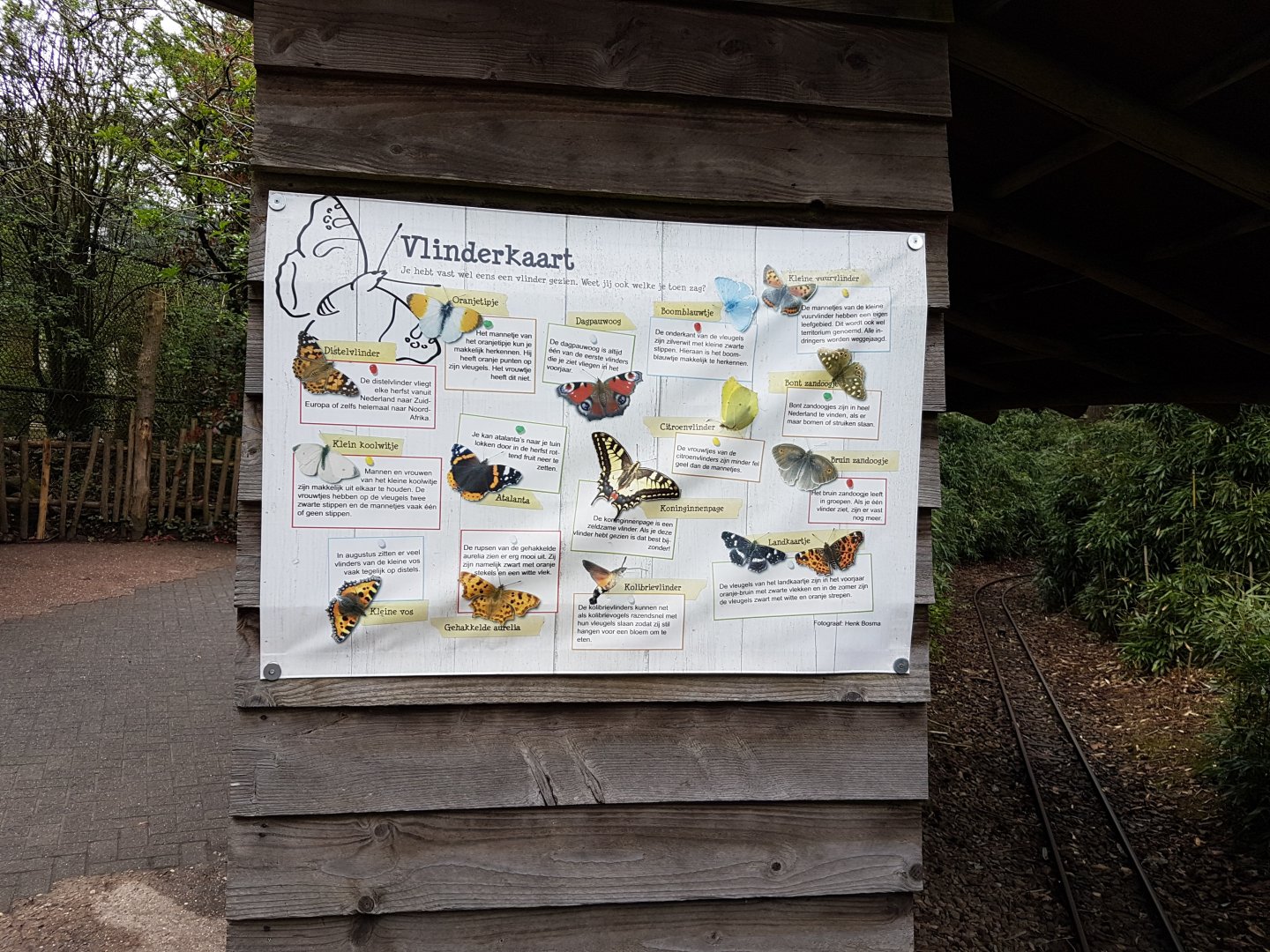 Info-sign Wild ( dutch ) butterflies
