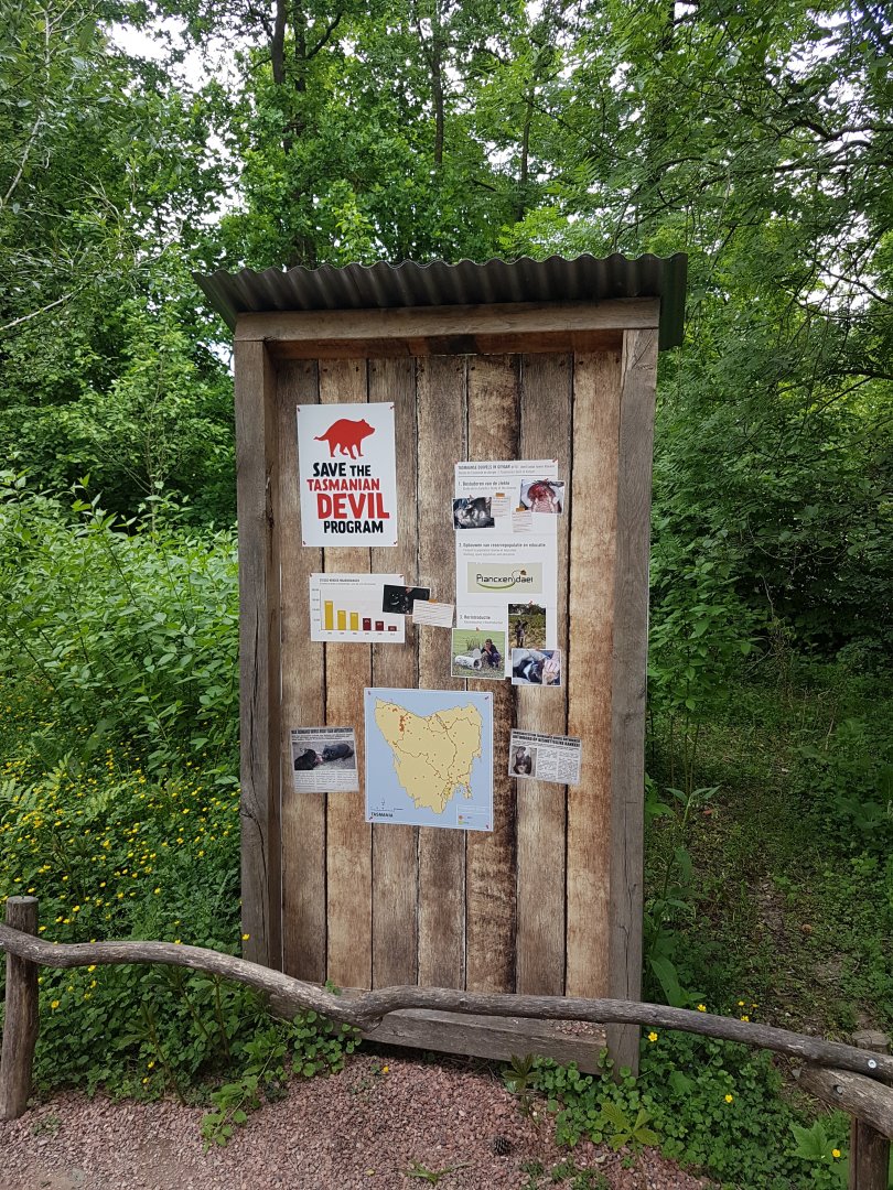 Info Tasmanian devil