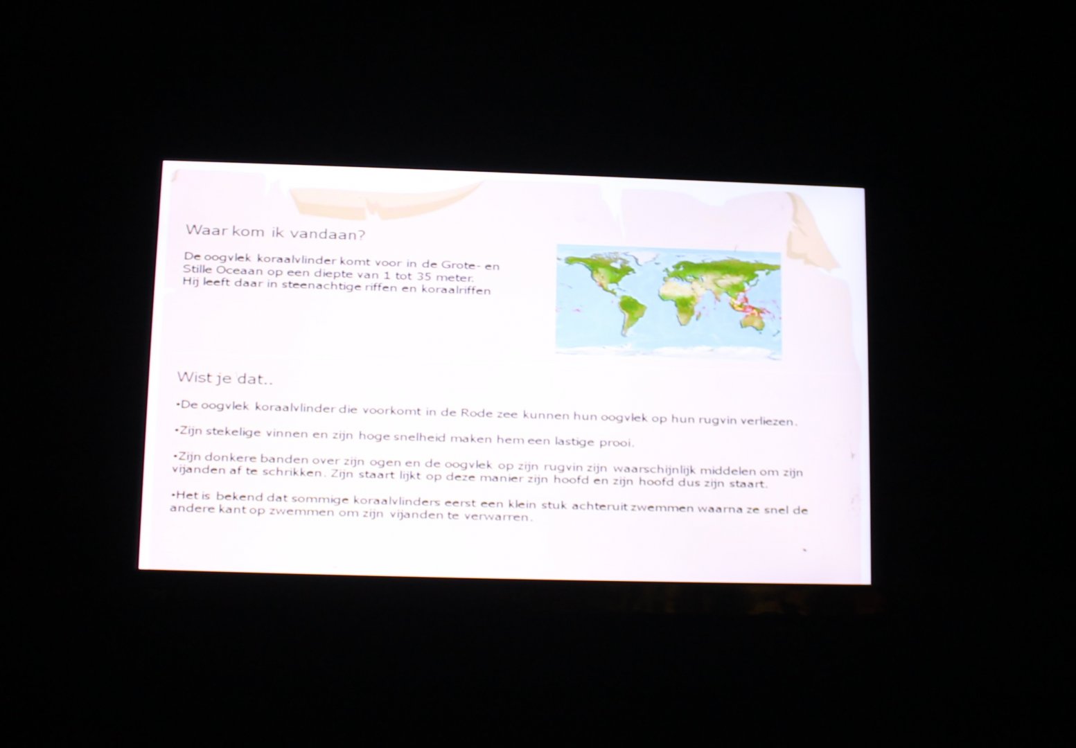 Info Threadfin butterflyfish - Chaetodon auriga