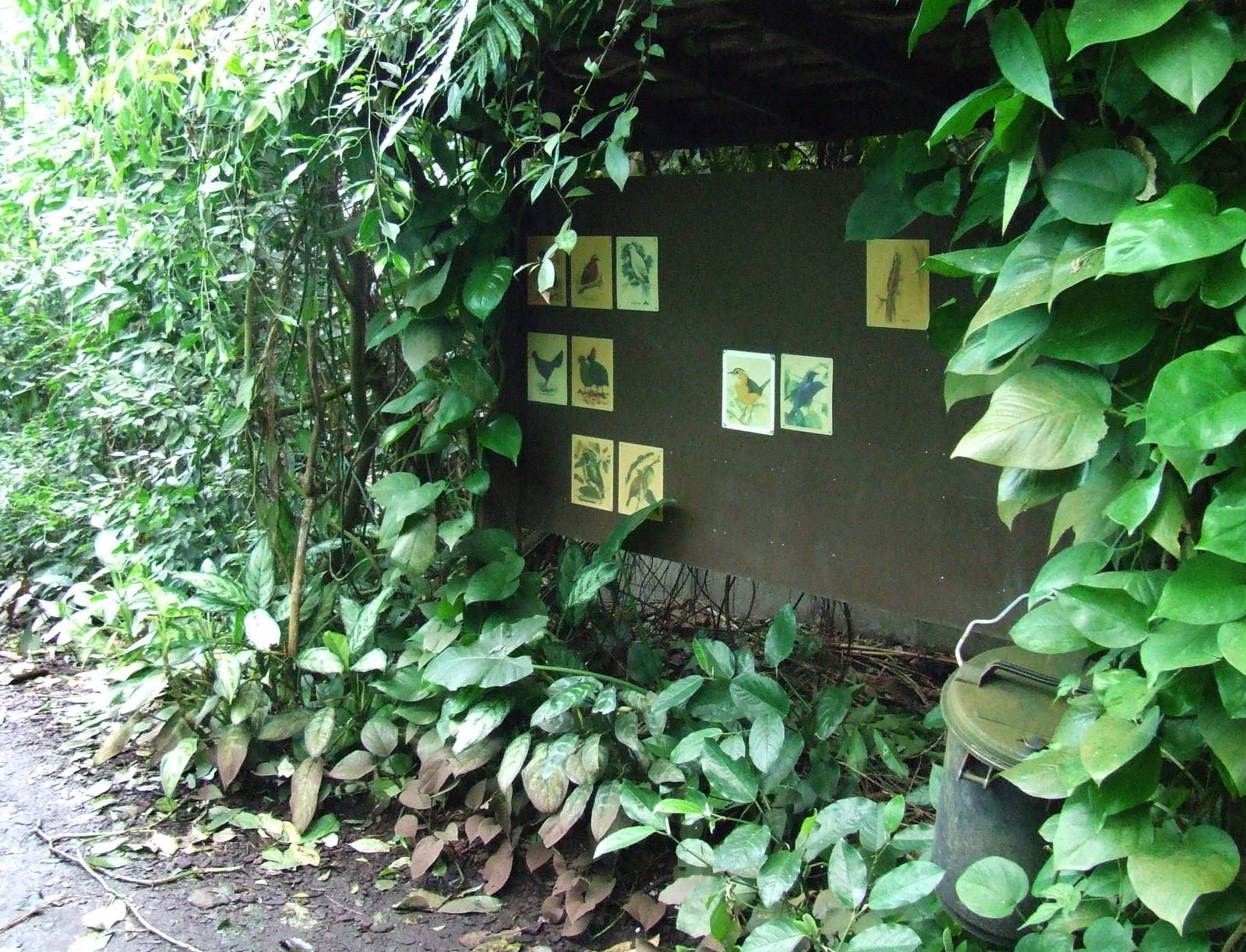 Information about free-ranging species, Burgers Bush