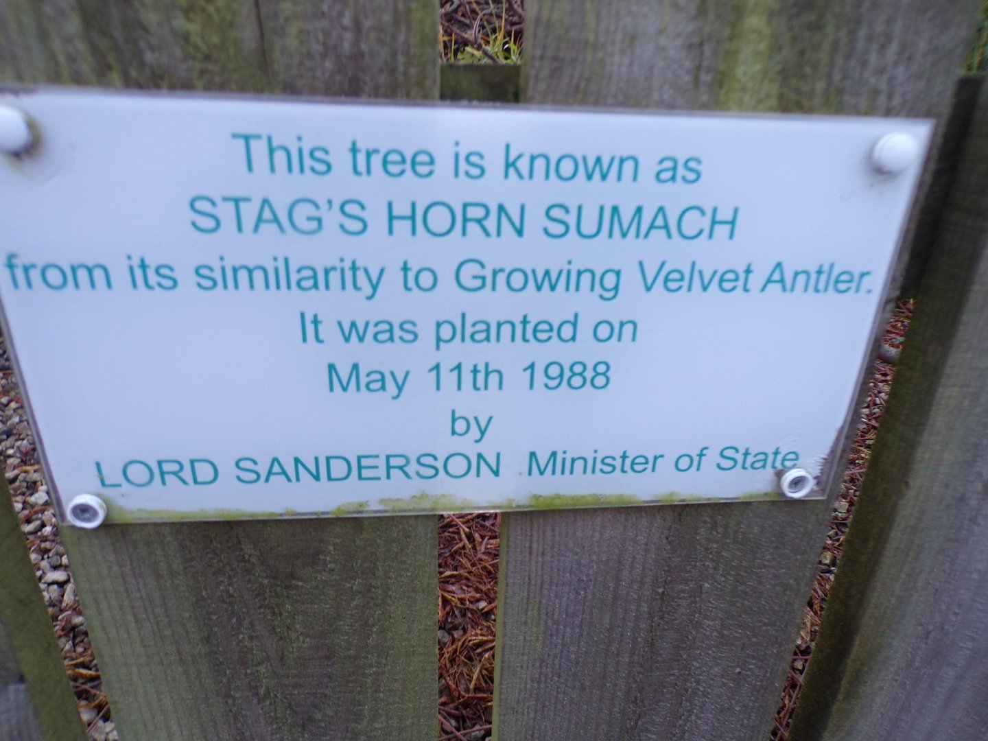 Information about sculpture