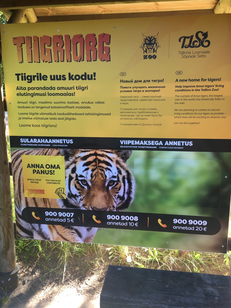 Information about the new tiger enclosure that is being built