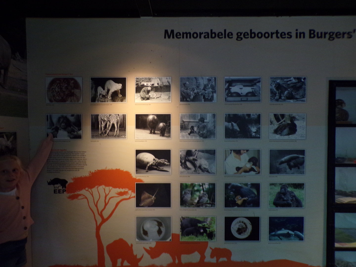 Information about the zoo 6.7.23