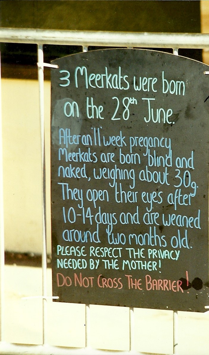 Information board 10th July 1999