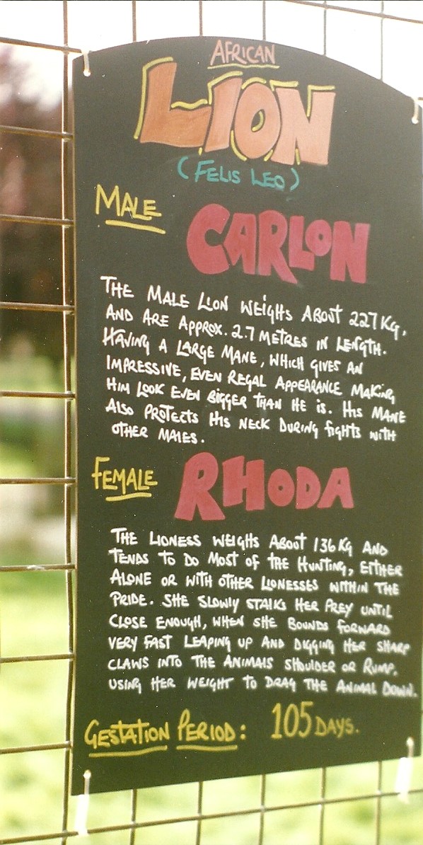 Information Board 10th October 1998