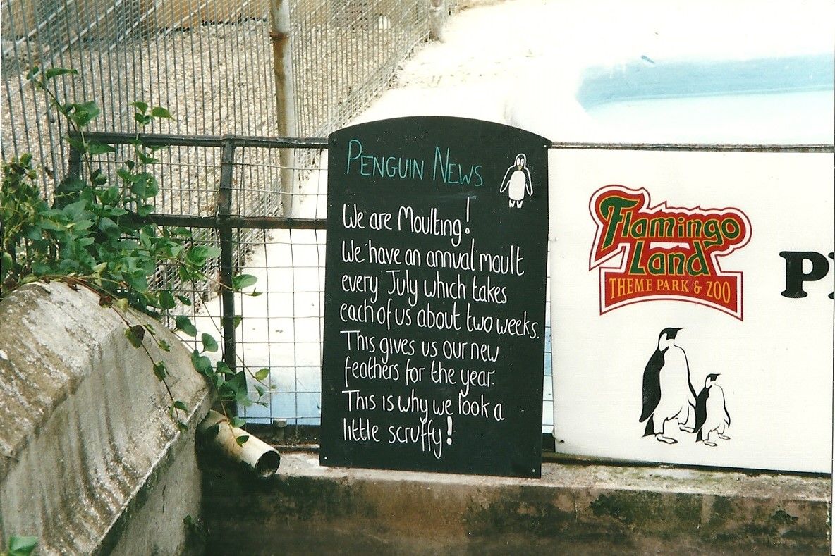 Information board 22nd July 2000