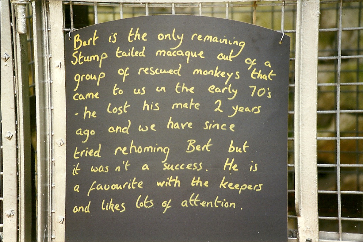 Information board 9th May 1998