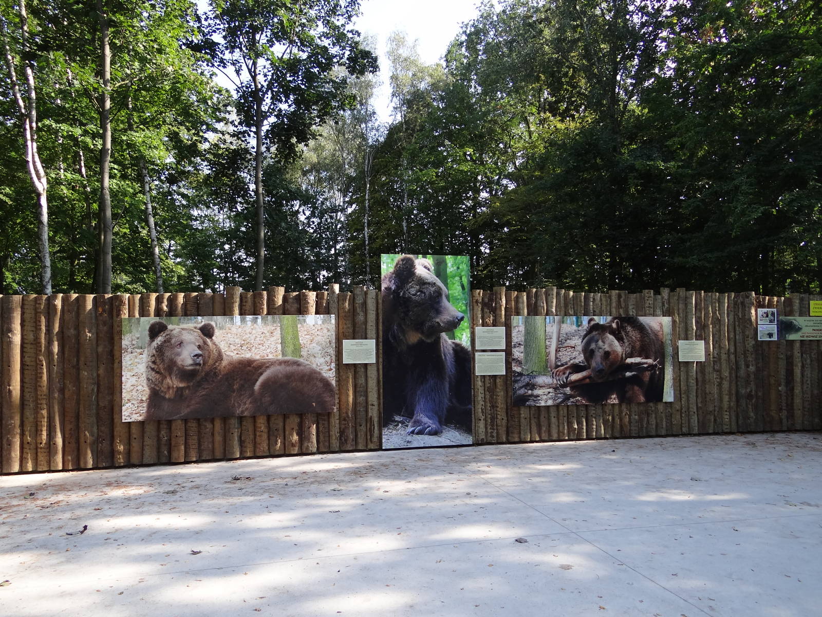 Information board about bears
