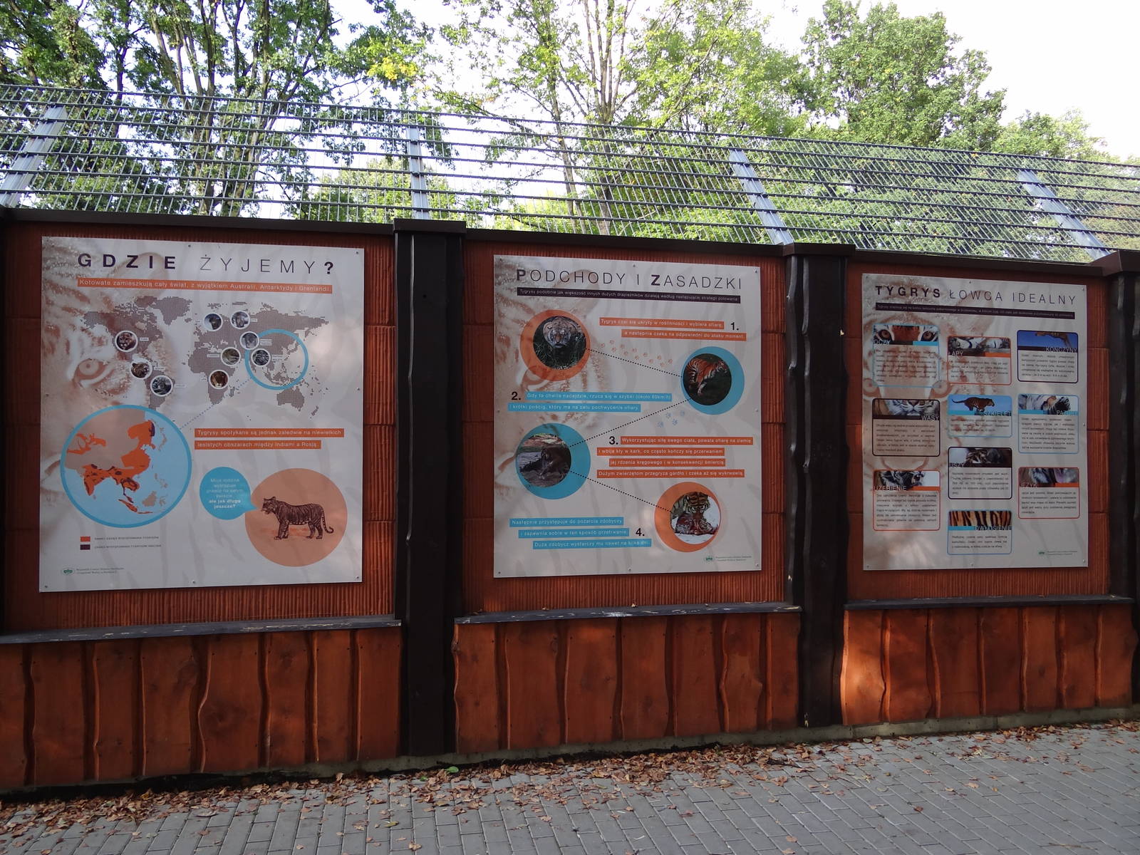 Information board about tigers