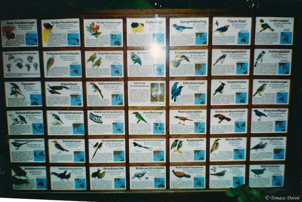 Information-board from Rainforesthall (Tropenwaldhalle) in june 2000