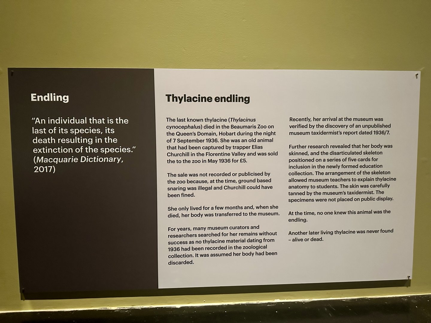 Information Board - Last Known Thylacine