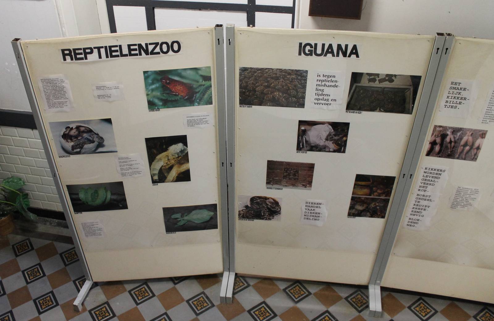 Information boards about Iguana