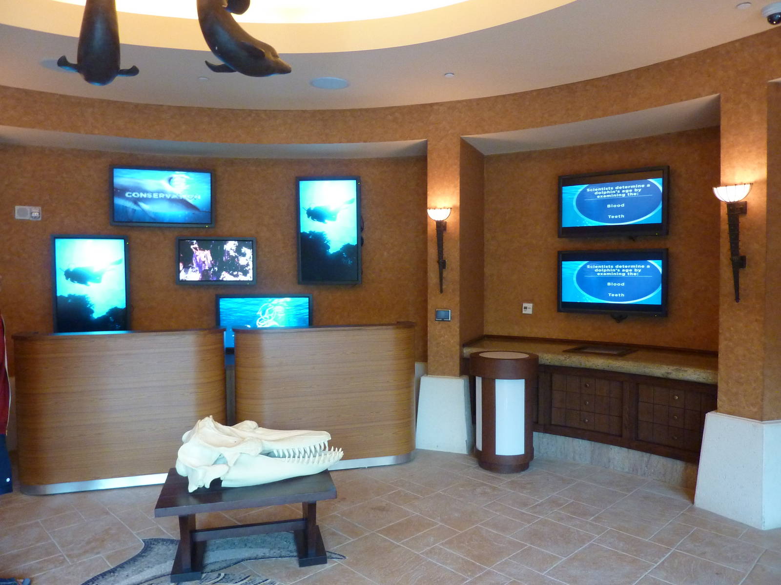 Information centre at dolphin bay